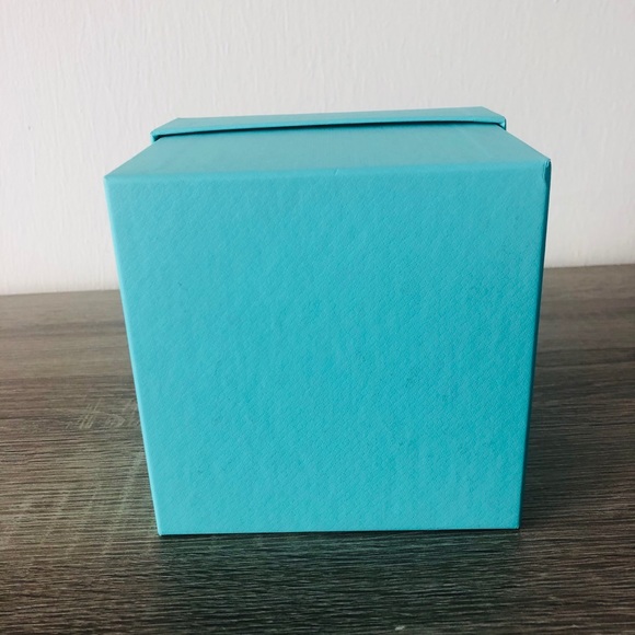 Tiffany & Co. Blue Empty Gift Box - Picture 7 of 11